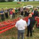 Feldtag zur mechanischen Unkrautregulierung