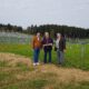 Freiflächen PV-Anlage Burghart