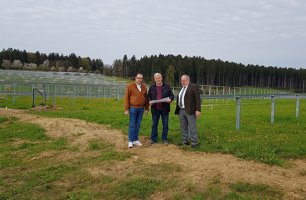 Freiflächen PV-Anlage Burghart